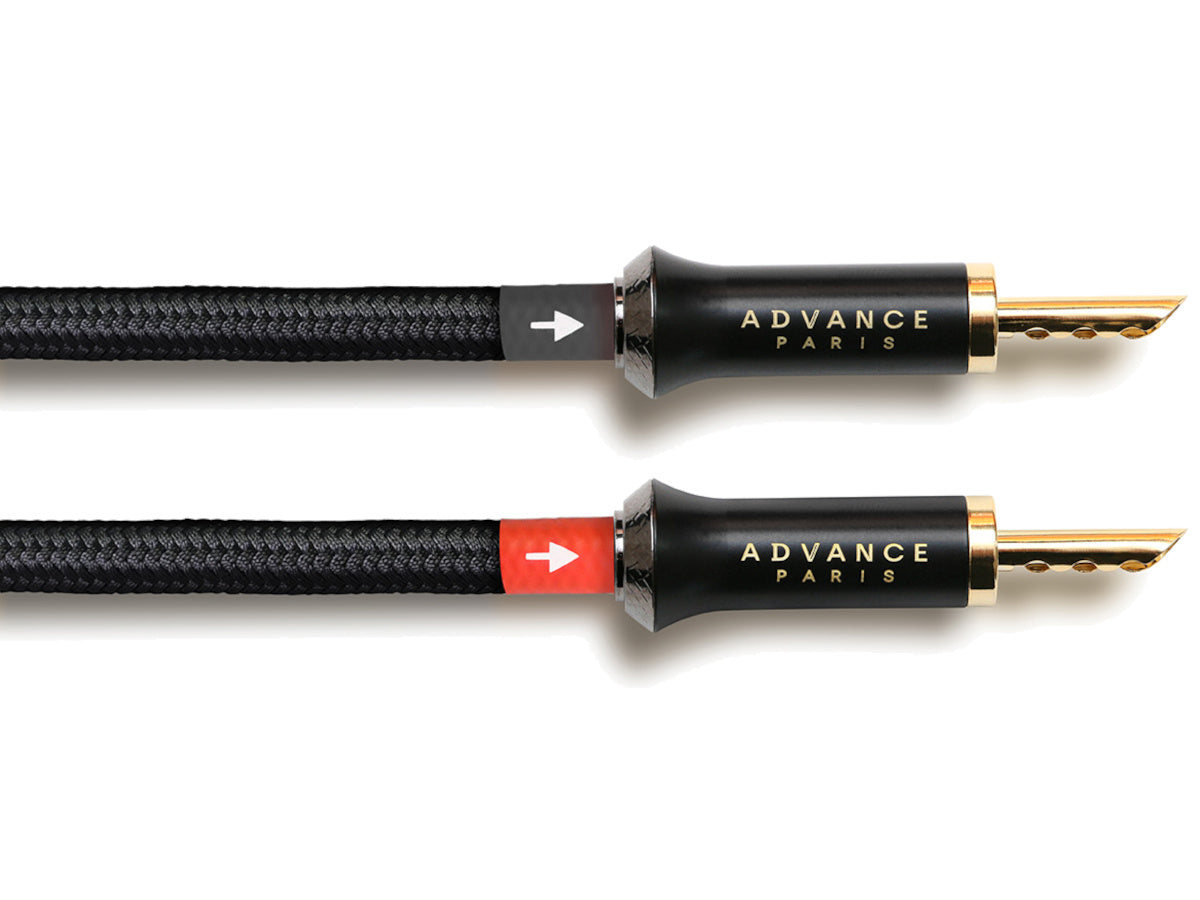 ADVANCE PARIS LINK Speaker - 1