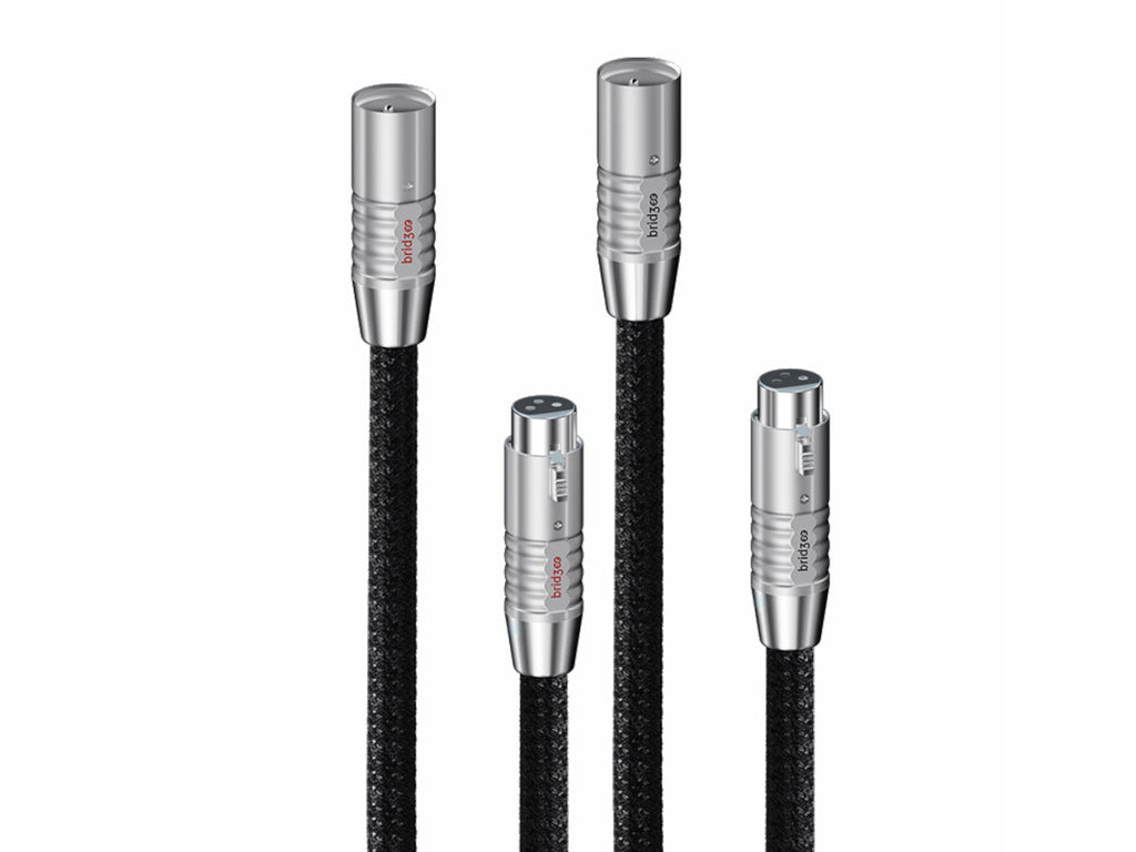BRIDGEE XCS Series XLR - 1