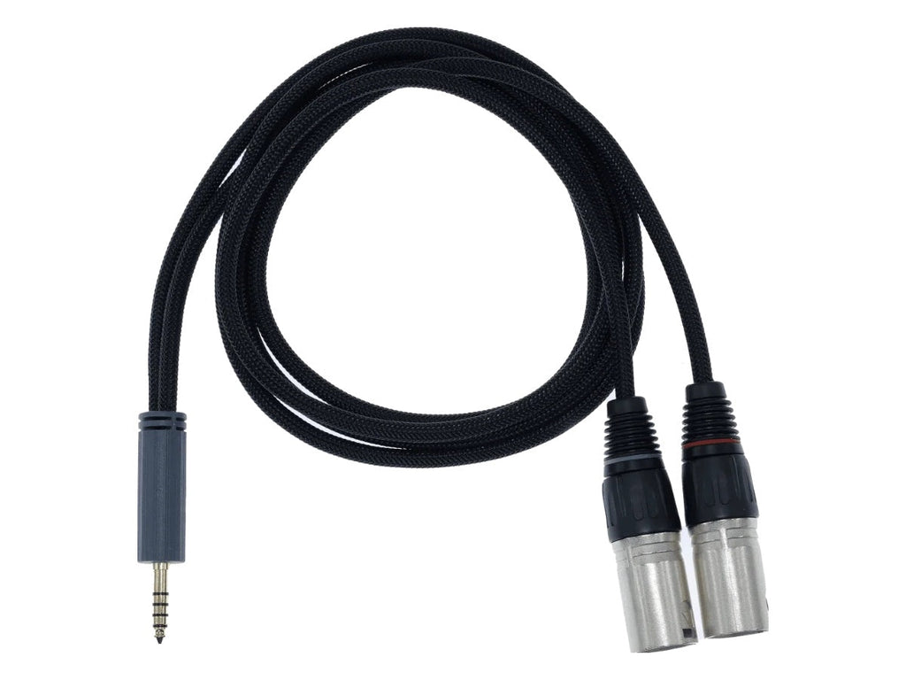iFi Audio Câble 4.4mm vers XLR Standard Edition - 1