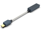 iFi Audio GO Link 2 Max - 2