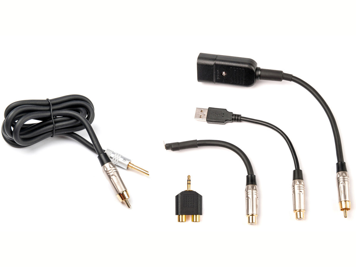 iFi Audio Groundhog+ - 1