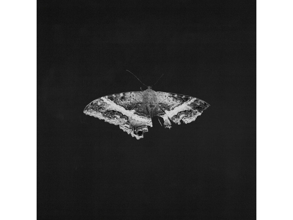 KENDRICK LAMAR - PIMP A BUTTERFLY (ALTERNATIVE SLEEVE) - 1