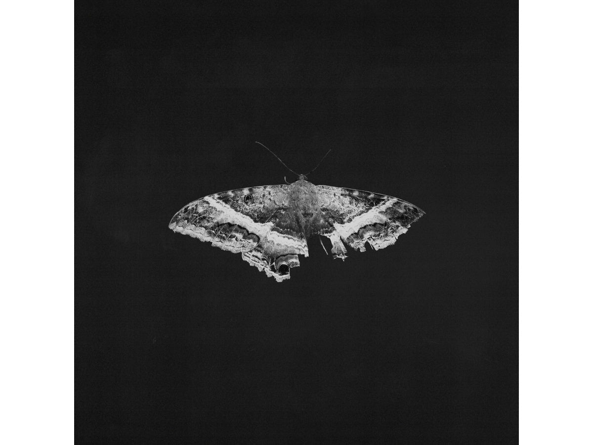KENDRICK LAMAR - PIMP A BUTTERFLY (ALTERNATIVE SLEEVE) - 1