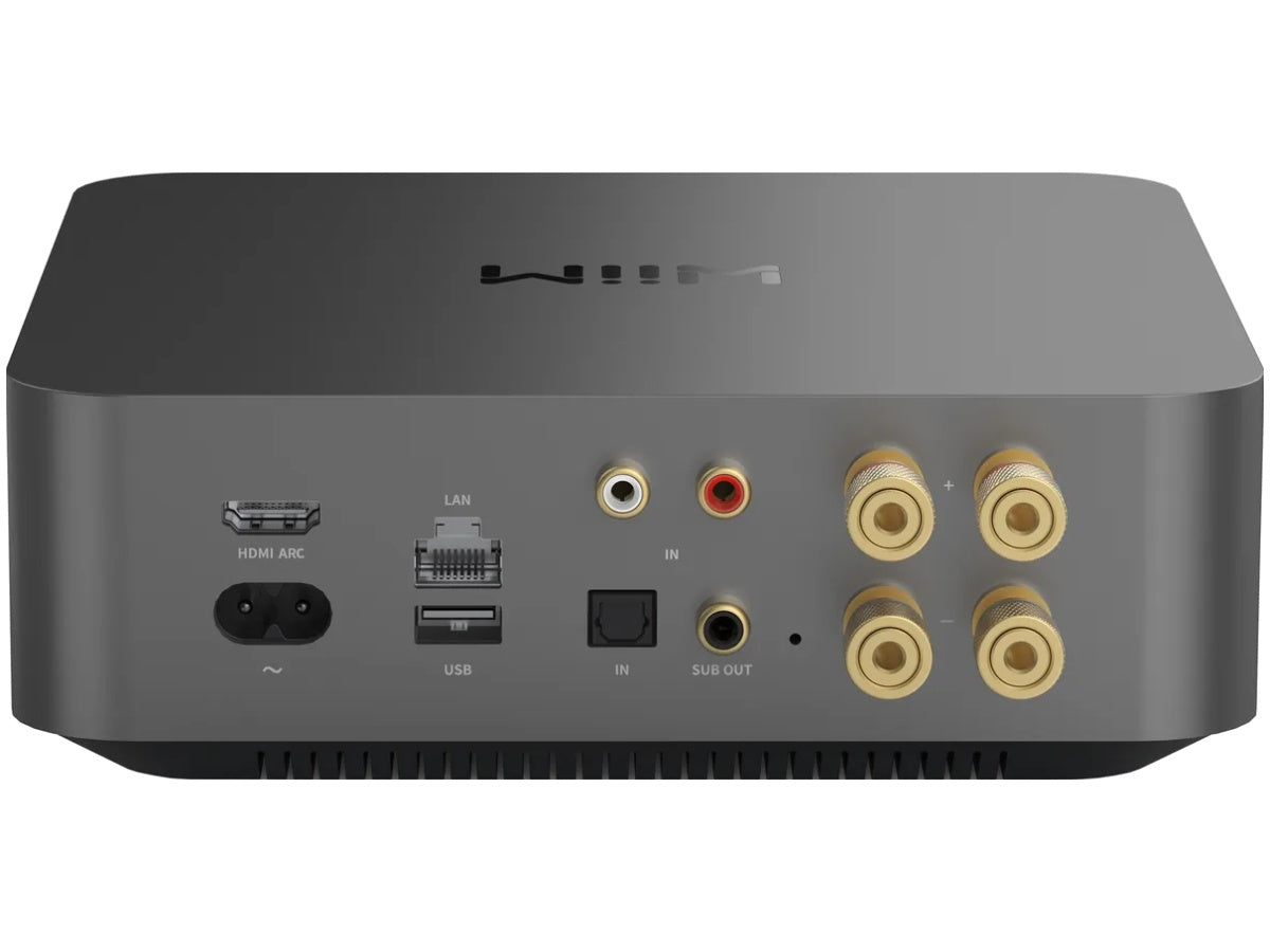 WIIM Amp Pro - 2