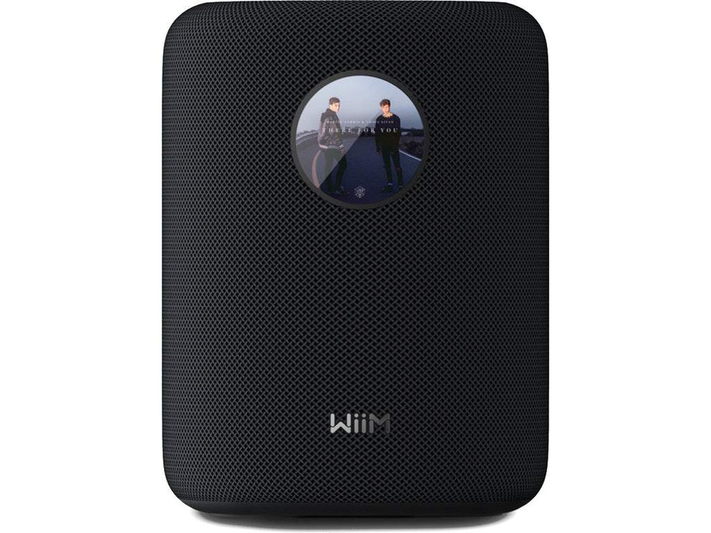 WIIM SOUND WITH DISPLAY - 2