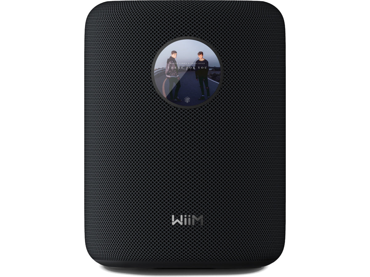 WIIM SOUND WITH DISPLAY - 2