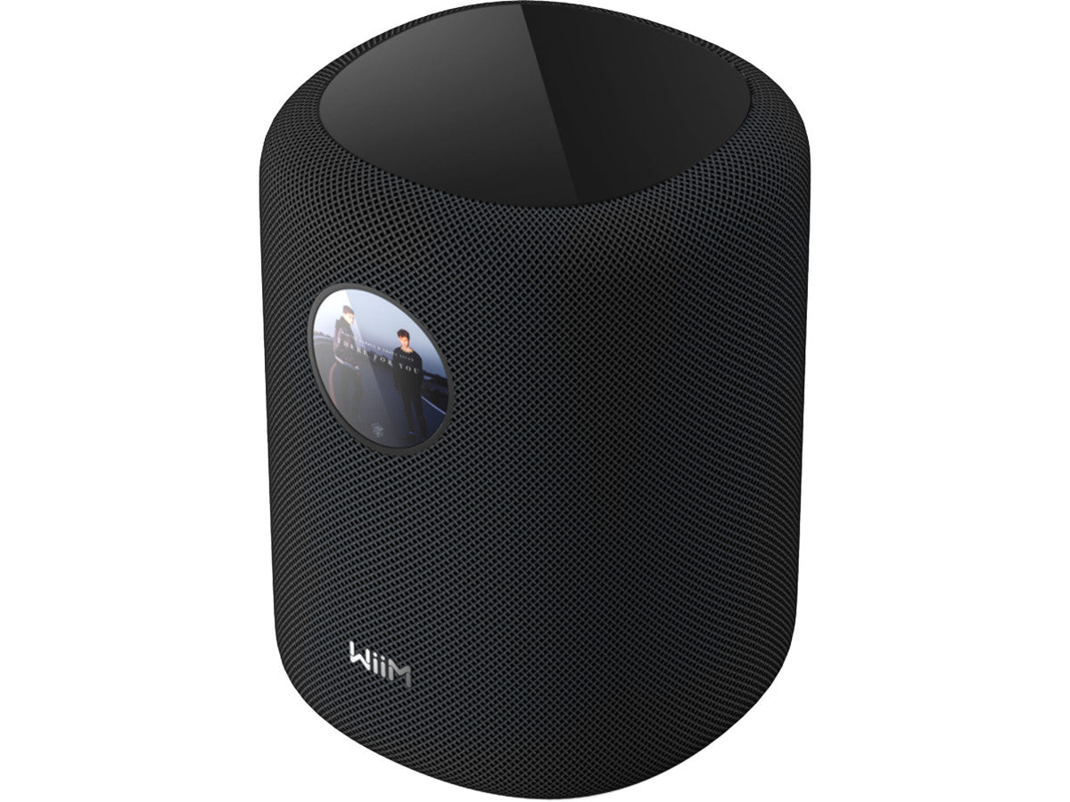 WIIM SOUND WITH DISPLAY - 1