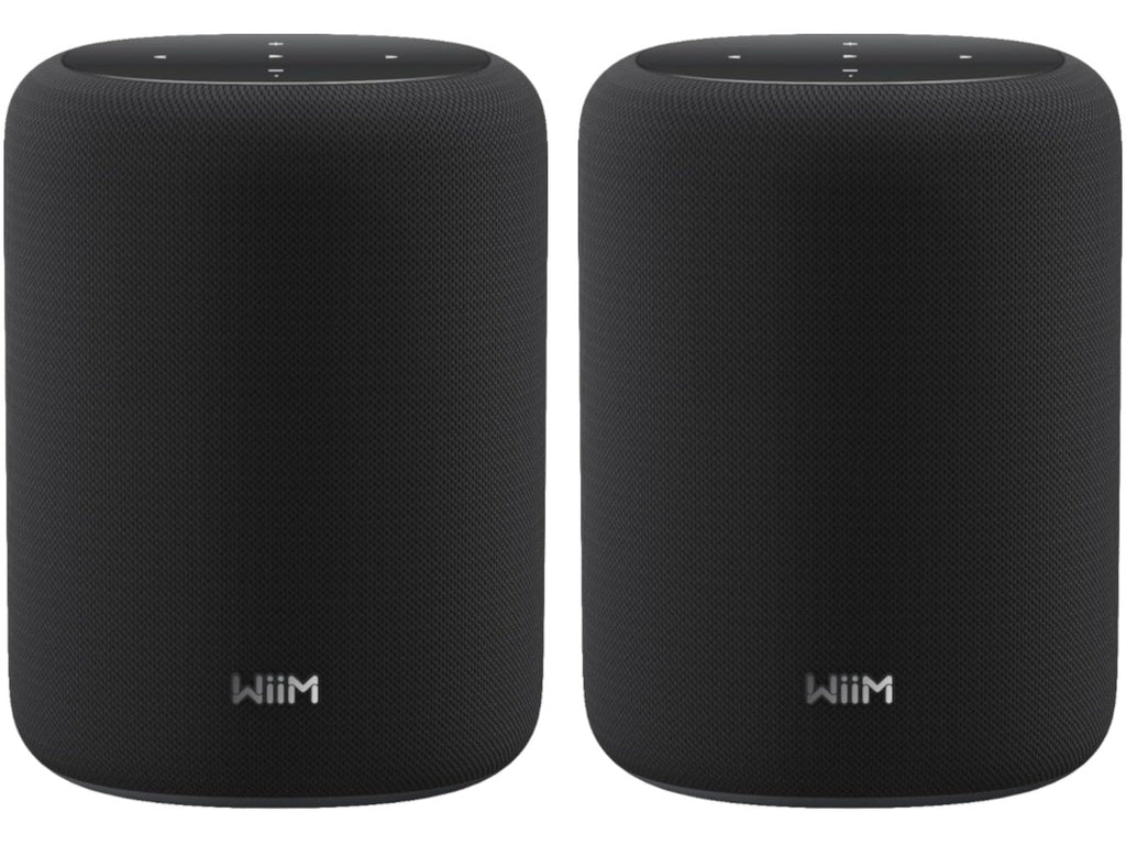 WIIM SOUND LITE TWIN - 1